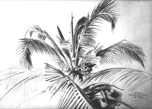 Whispering Palms