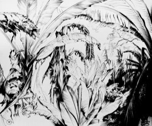 Jungle with Banana Plants