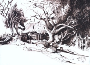 Yucatan