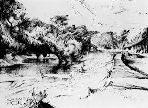 On the Way to Kodoikanal