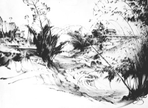 Susiigan, in the Rice Fields
