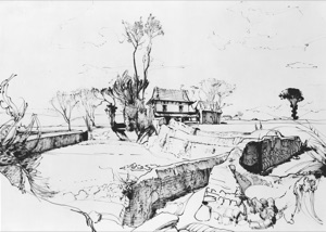 Farmhouse in the Fields