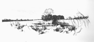 At Lake Starnberg