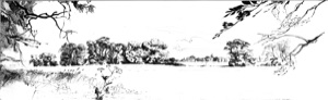 Am Chiemsee