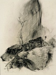 Living Bunker on the Liza