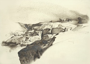 Gletscherschliffe