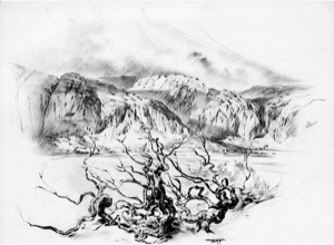 Am Fjord