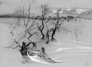 Rundhaug, Birches in the Snow