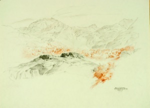 Birkental am Tuulifjord