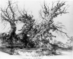 Brushwood at the Fountain near Saplet