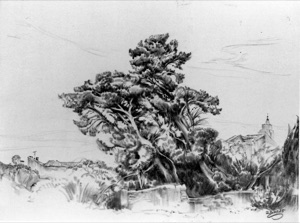 Tree, Village in the Background