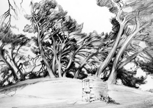 On the Church Hill of Bonnieux / Luberon