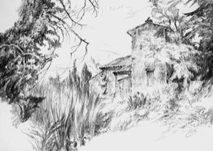 House in the Grove
