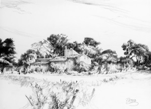 Farm near Carpentras