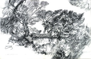 House under Pines