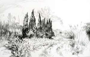 Vaugines