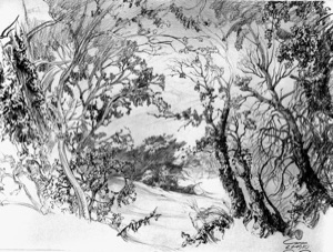 Trees near Cazan