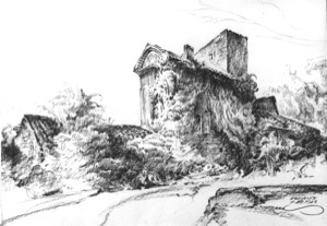 Overgrown House