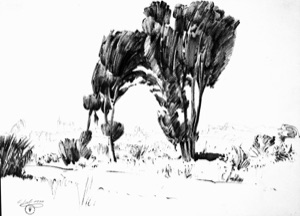 Baumgruppe