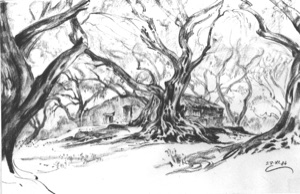 Hut under Olive Trees, 2