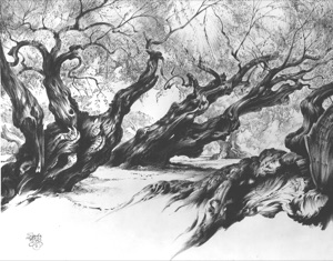 The Olive Trees of Sykéa