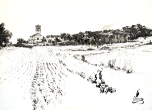 Brusino