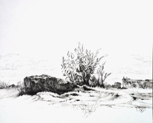 Stone - Reeds - Boat