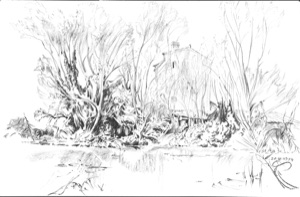 Old House by the Pond