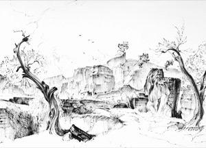 Matera, Olive Trees in the Sandstone Quarries