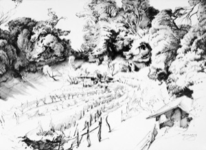 The Small Vineyard