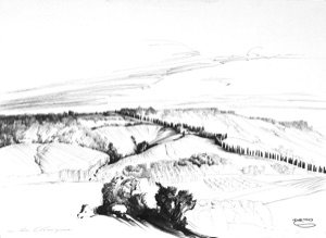 Near San Gimignano