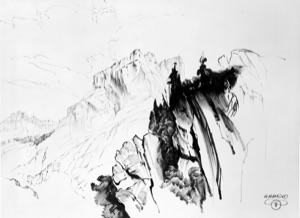 Fanisgruppe
