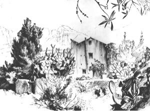 Farmstead on the Tyrrhenian Coast