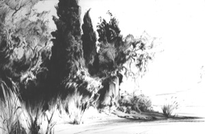 Shrubbery and Cypresses