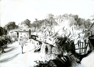Landscape near Malcesine