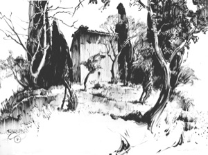 Hut between Cypresses and Olive Trees