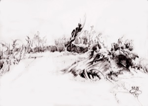 Gestrüpp