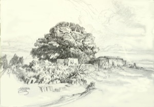 Farmstead and Tree