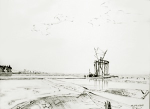 At the Harbor